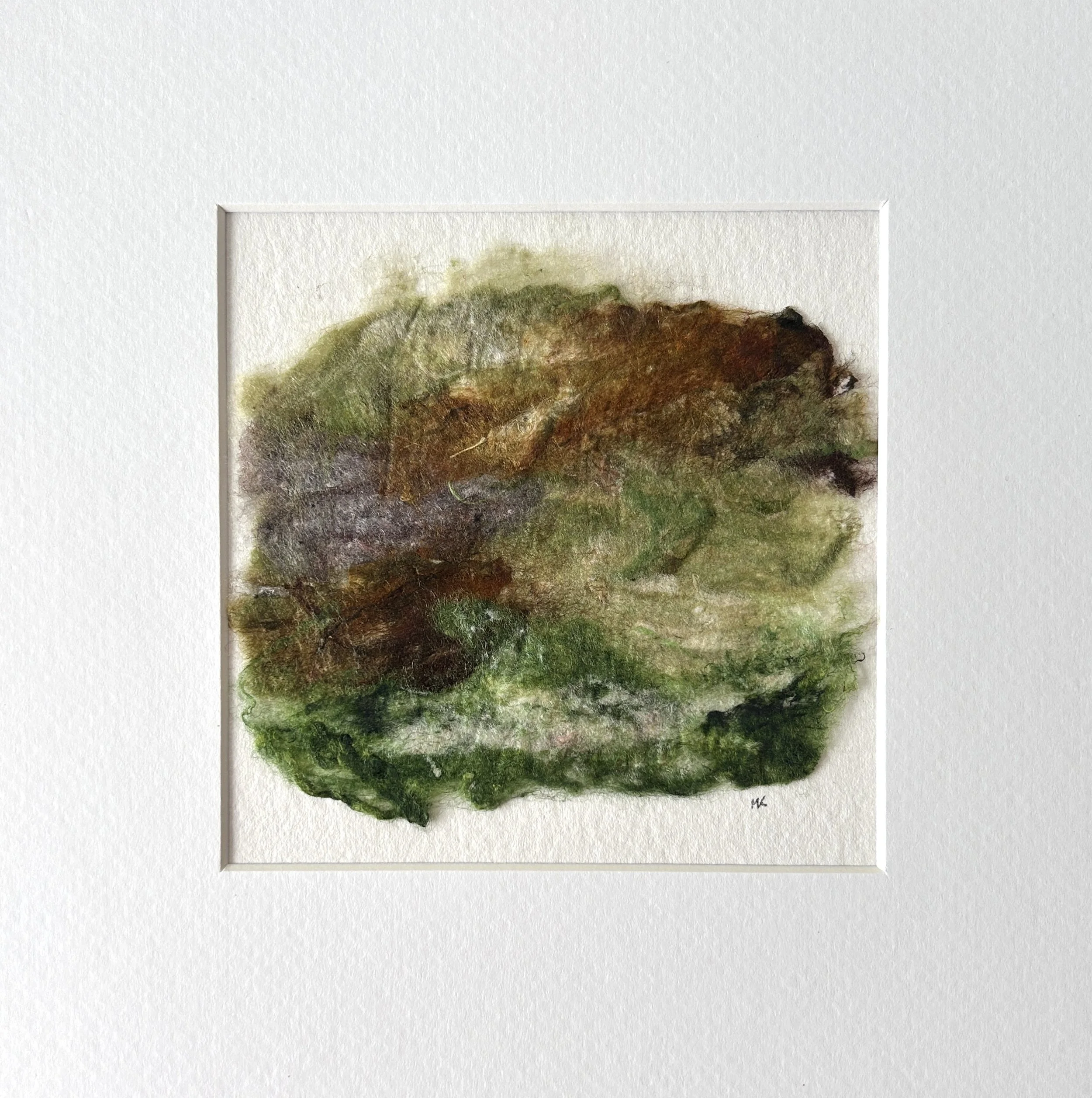 Forest Floor - June 12