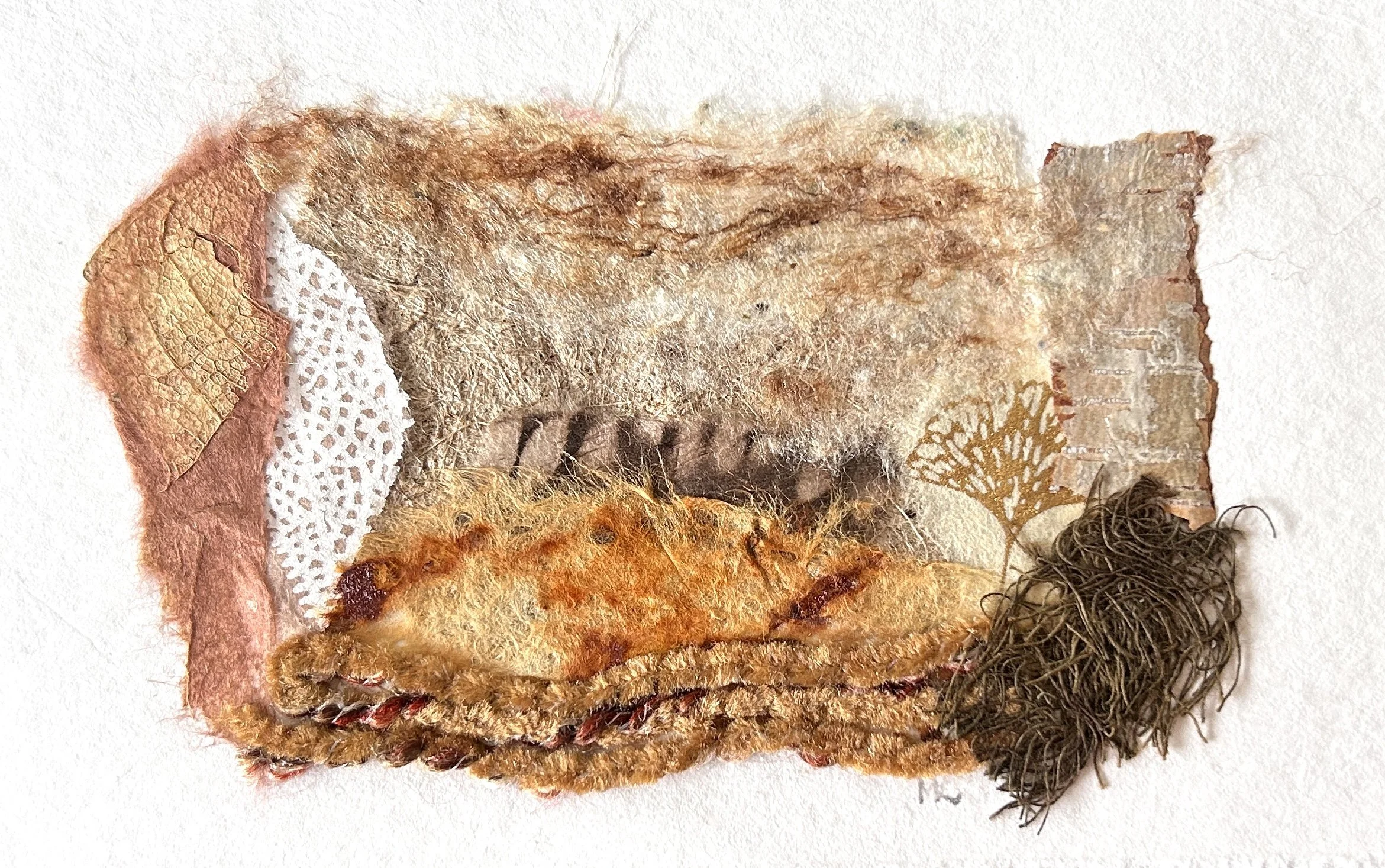 Forest Floor - March 3