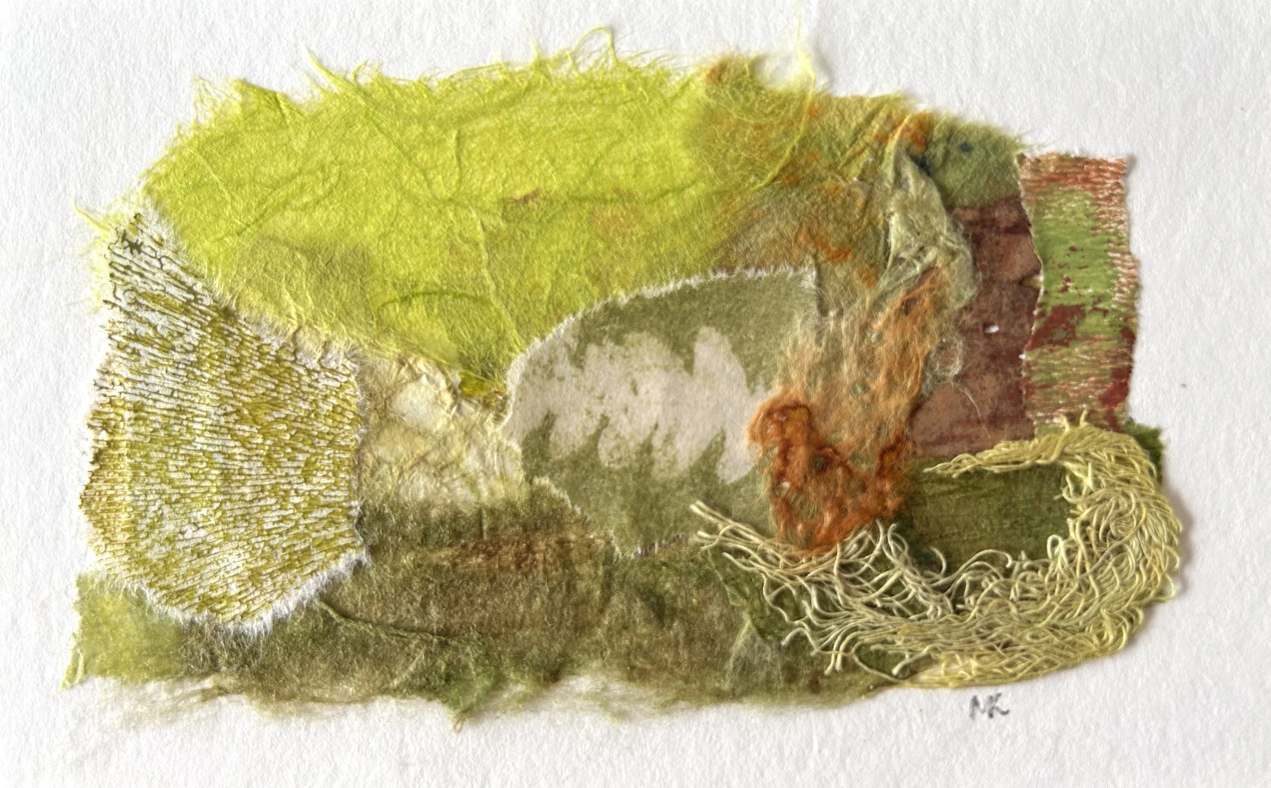 Forest Floor - May 10