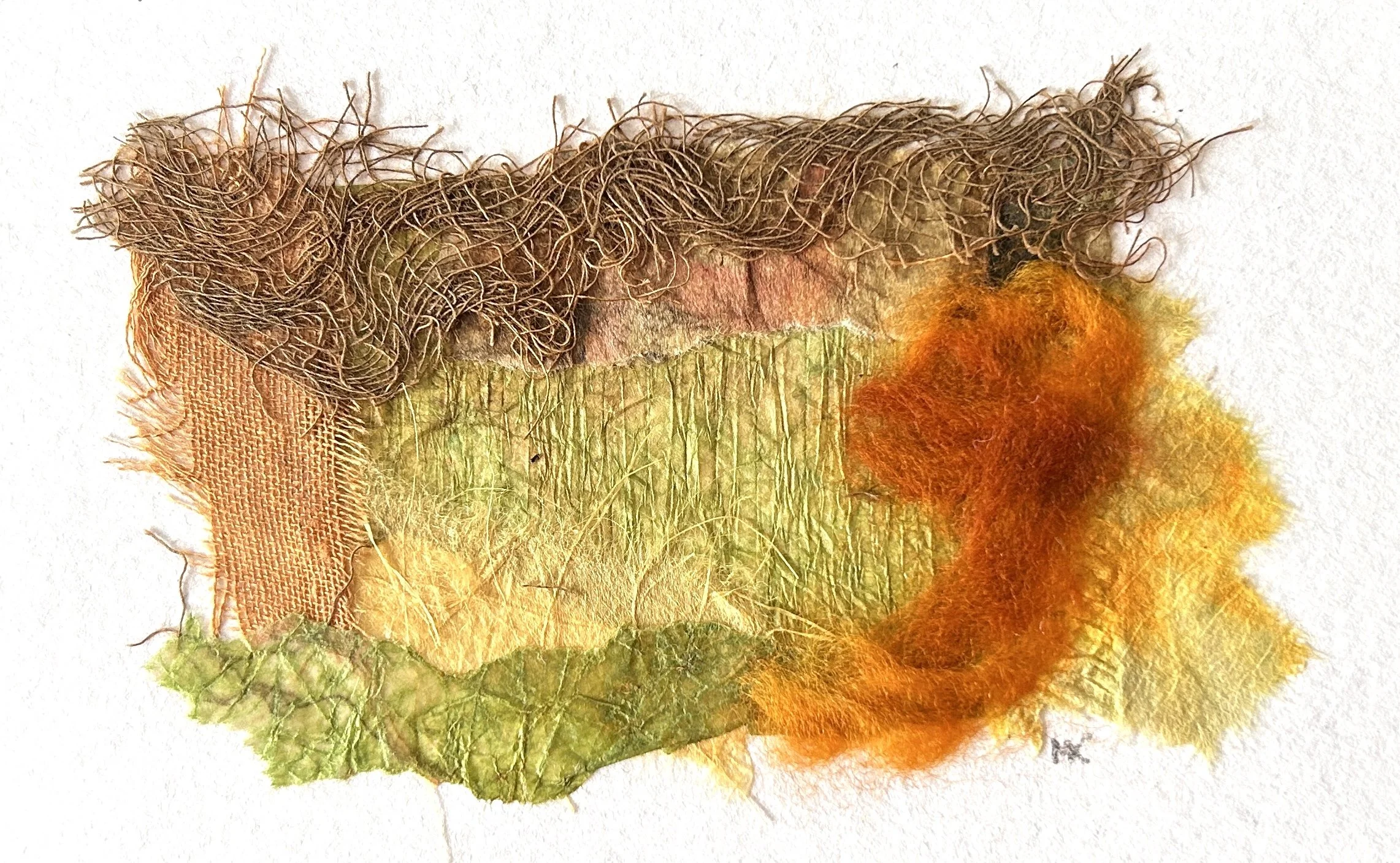 Forest Floor - September 17