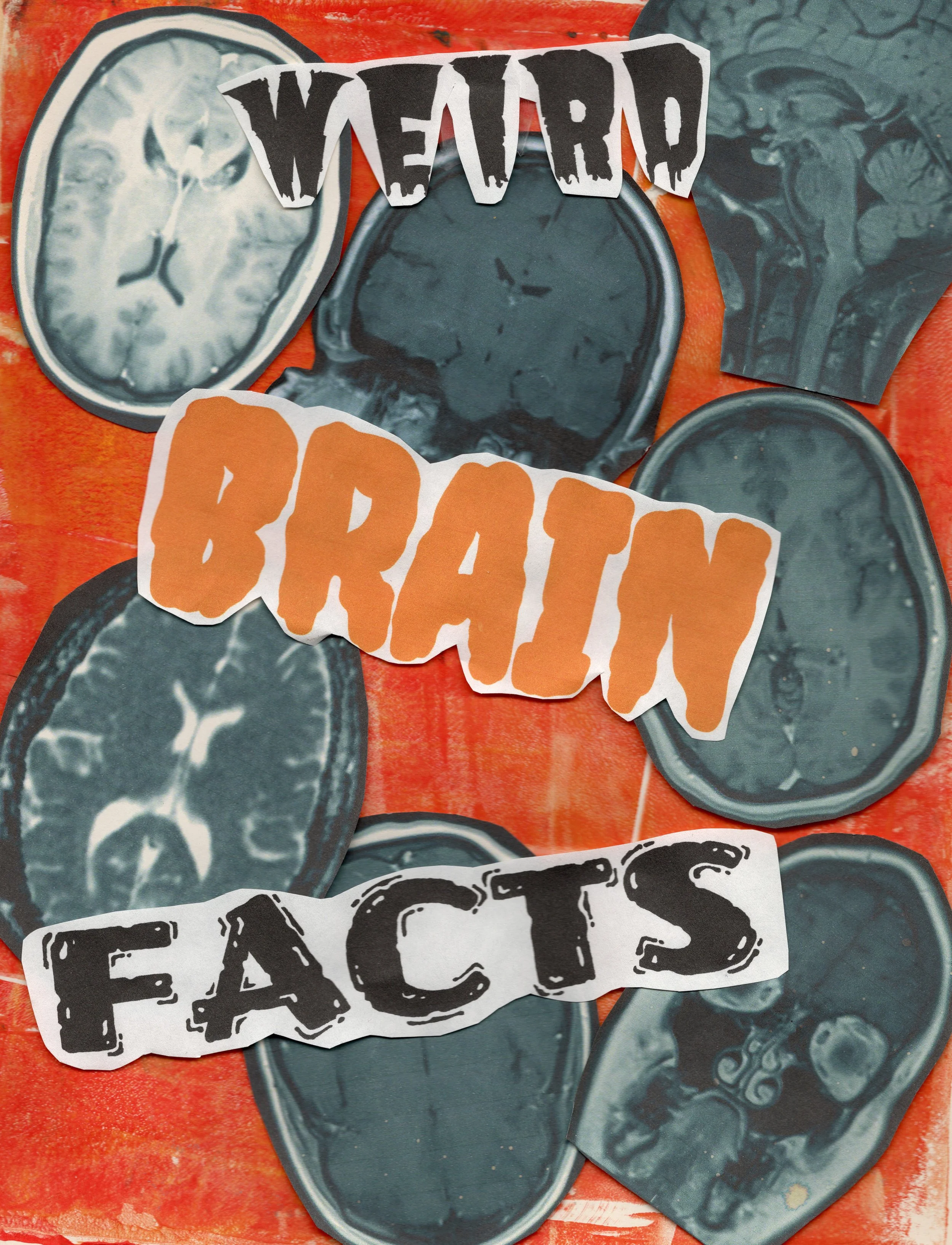 weirdbrainfacts - cover.jpg