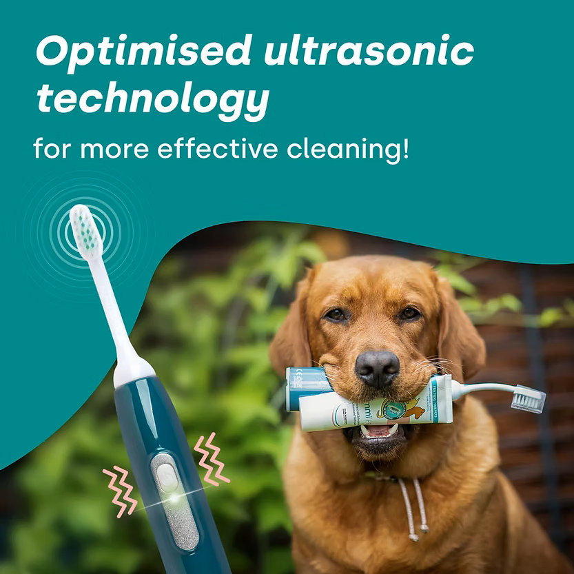 Optimised.png (Copy)