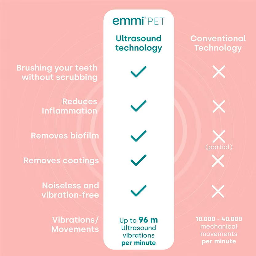 Technology.png (Copy)