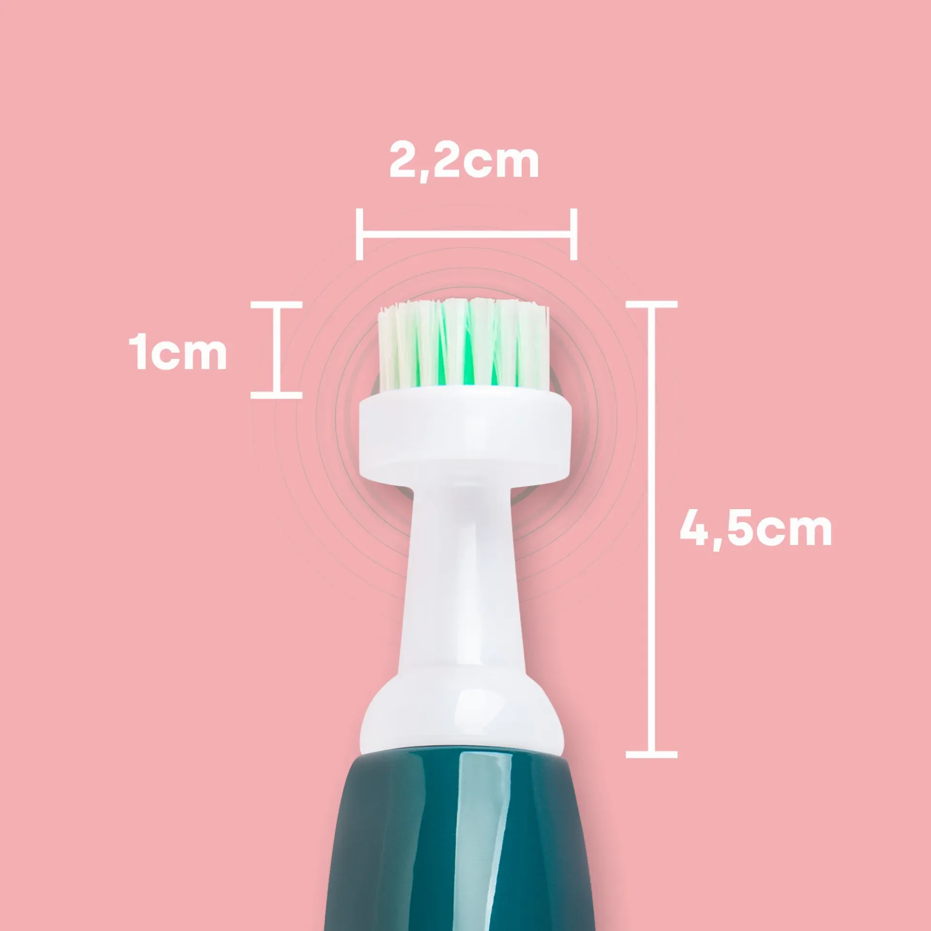 care-p2-masse (1).webp