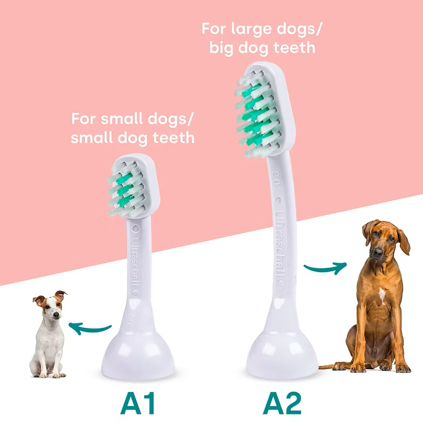 Brush Tips.png (Copy)