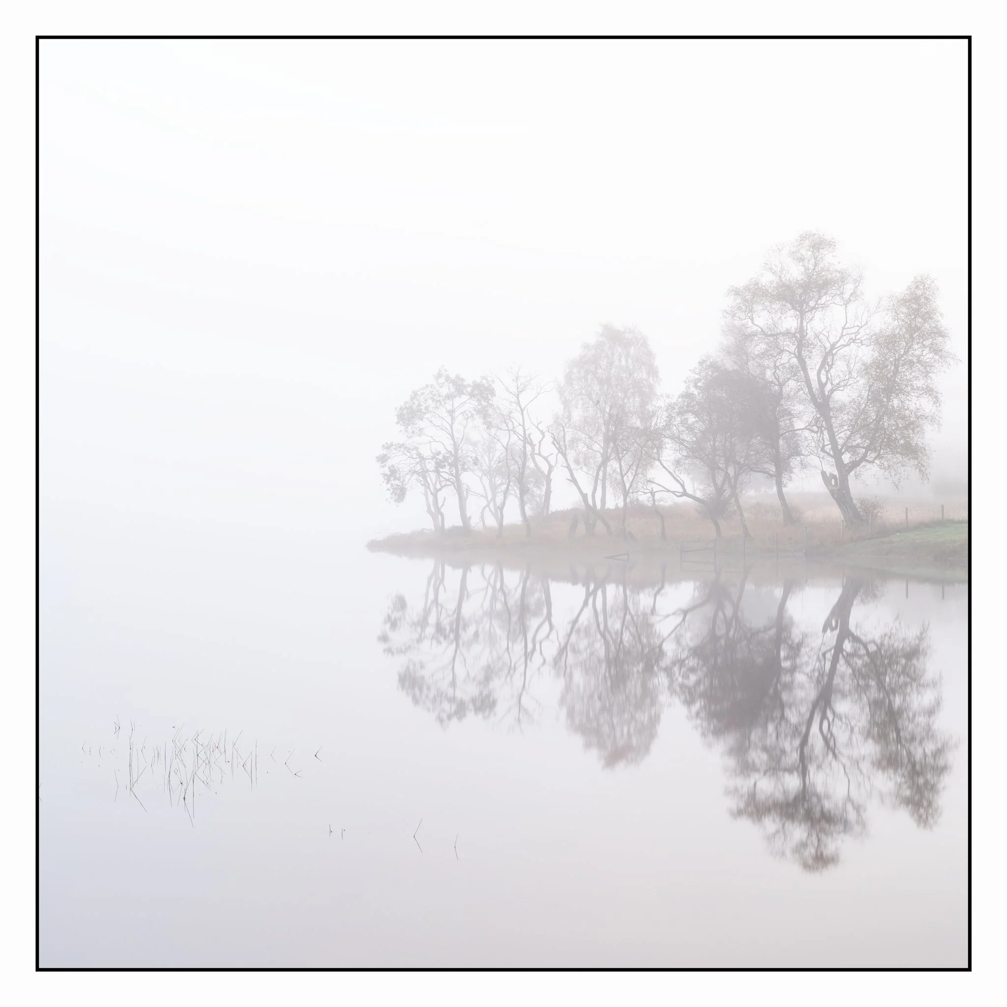 Foggy lakeside scene with leafless trees and their reflections in the still water.