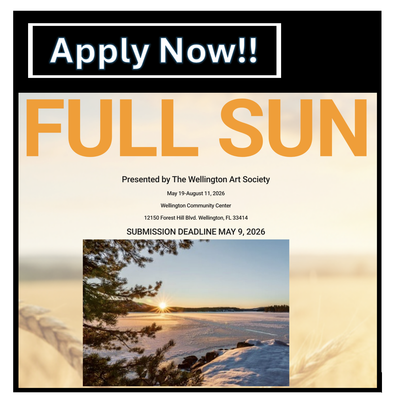 NEW EXHIBITION - FULL SUN will run from May 19 to August 11 2026 - APPLICATIONS OPEN!!!