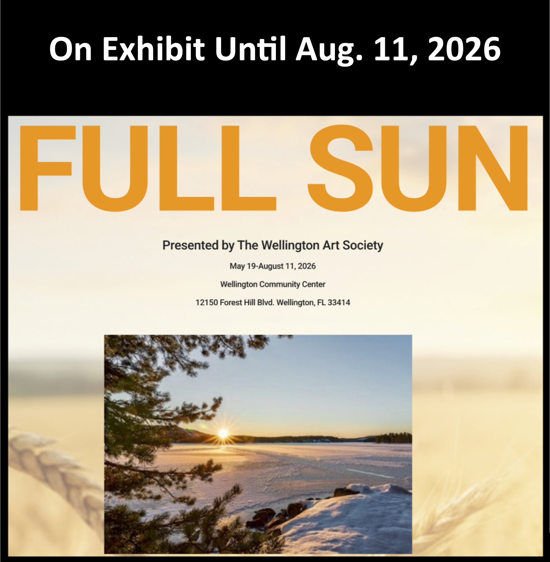 NEW EXHIBITION - FULL SUN will run from May 19 to August 11 2026 