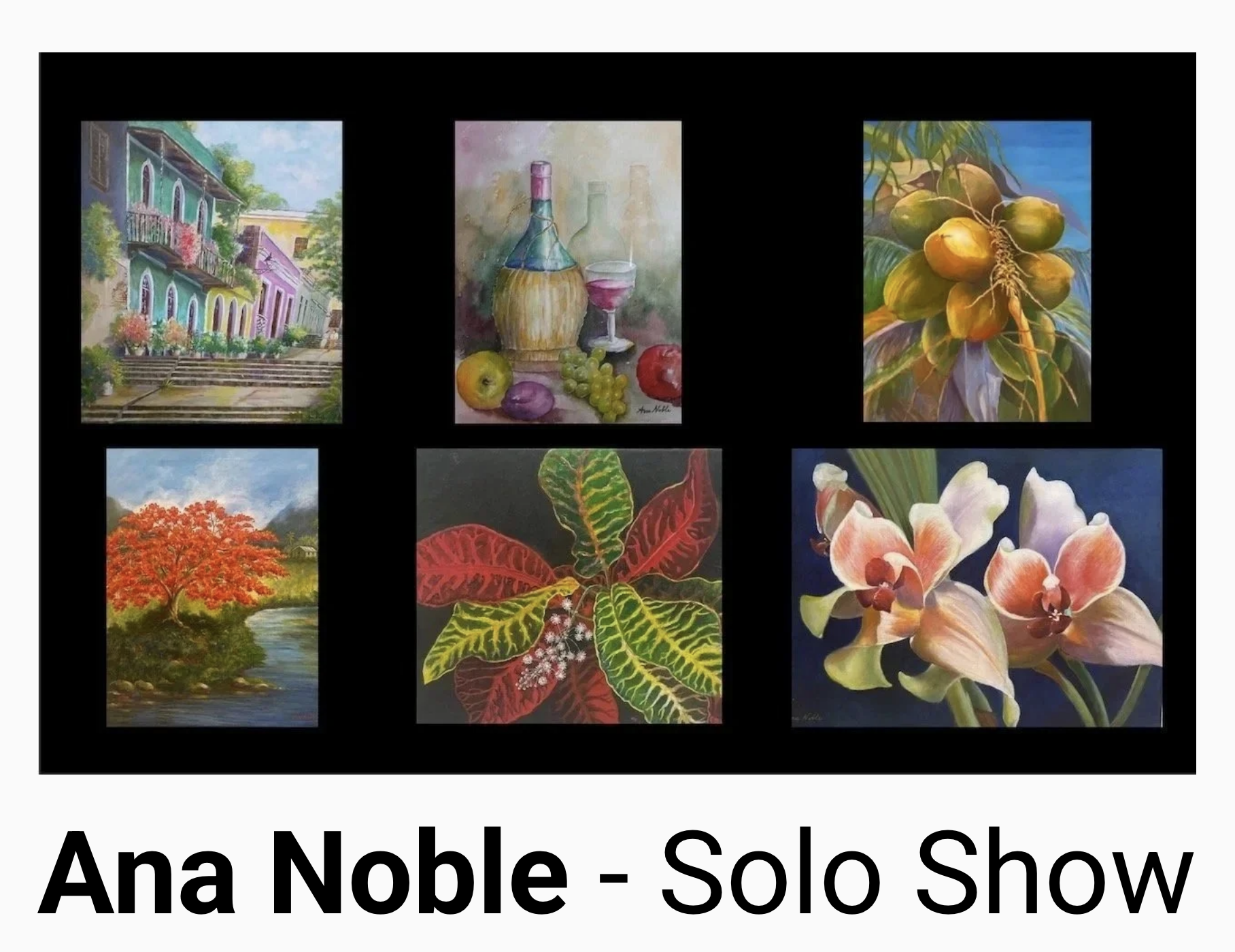 Ana Noble - Solo Show - August 4 to October 6, 2026 - RECEPTION September 22, 2026