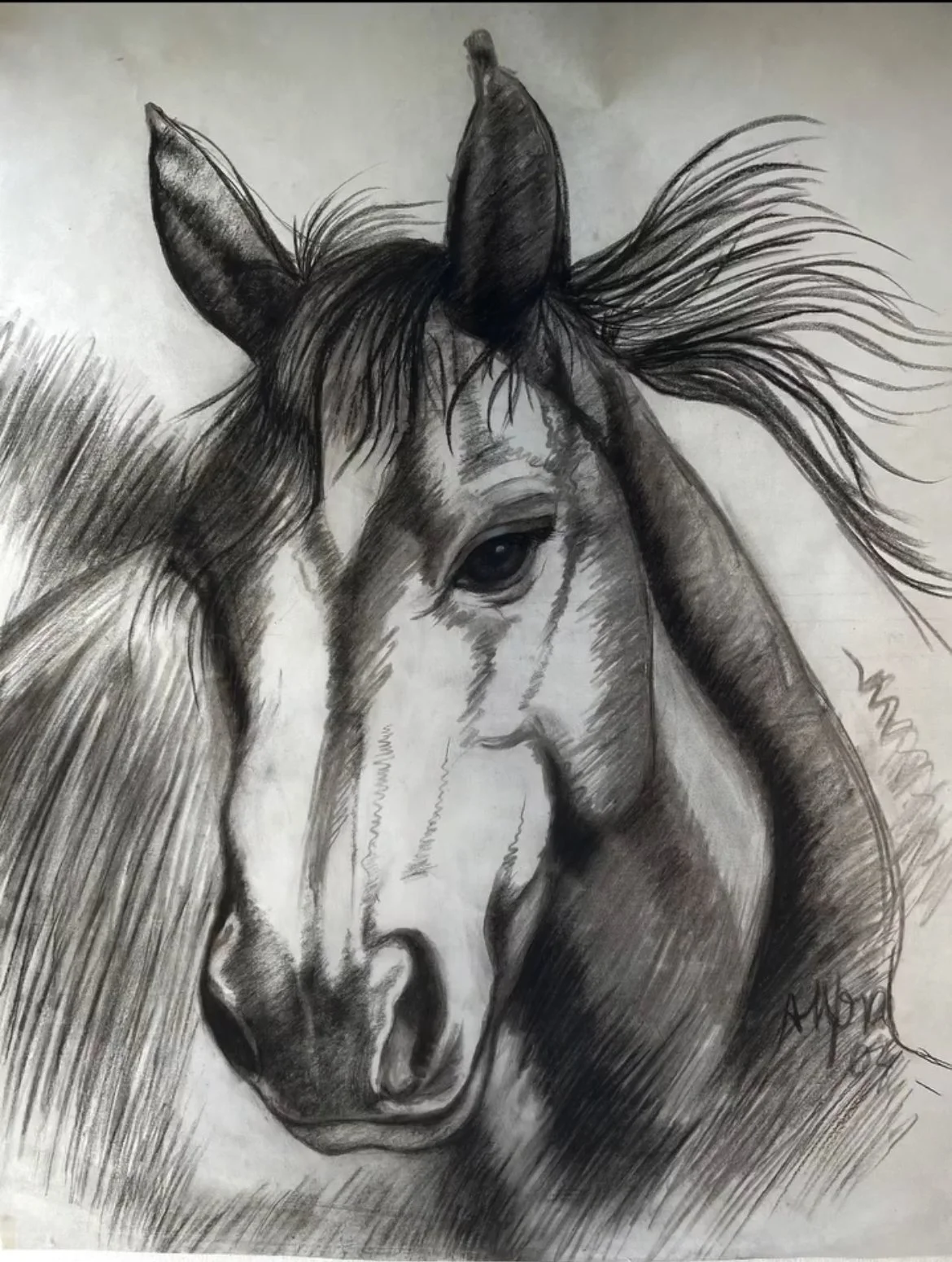 A.Mora Sweet Horse 39x27 Charcoal on paper.jpg