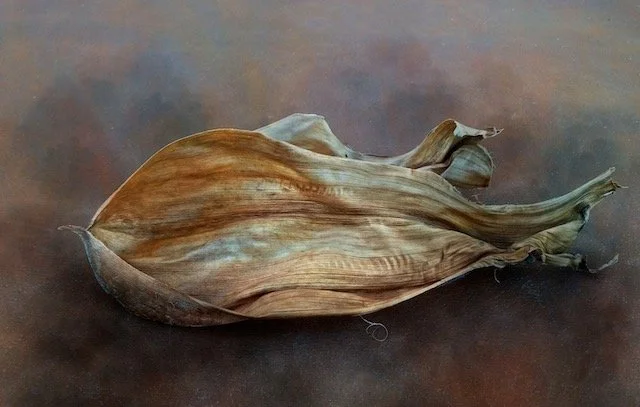Susan Oakes