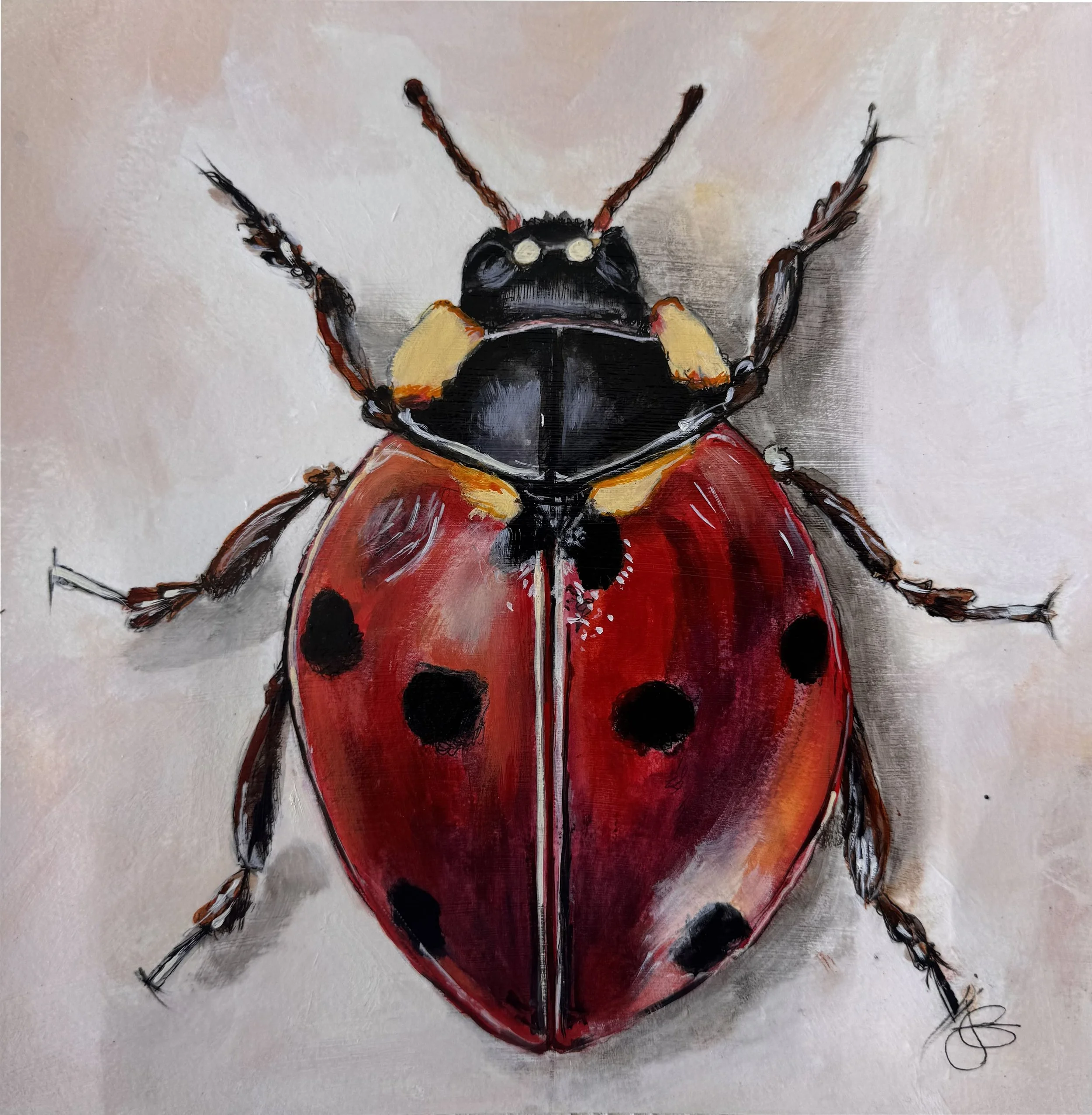 Gmitter_LadyBug.jpeg