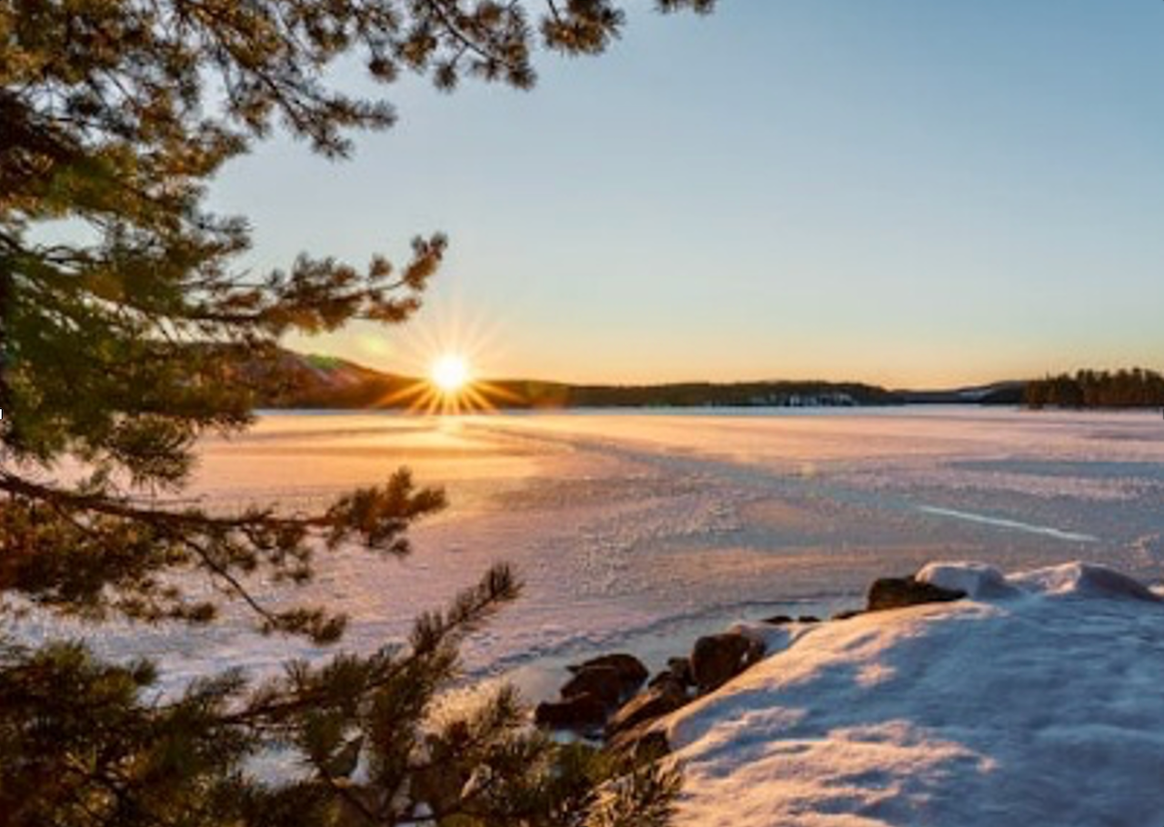 CFA FULL SUN - 1.png