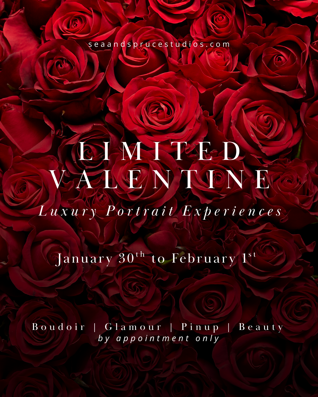 Limited Valentine Luxury Portrait Experiences