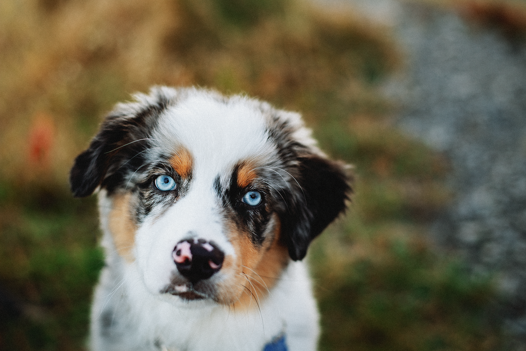 2025.09.13 Bercy-5296 web.png