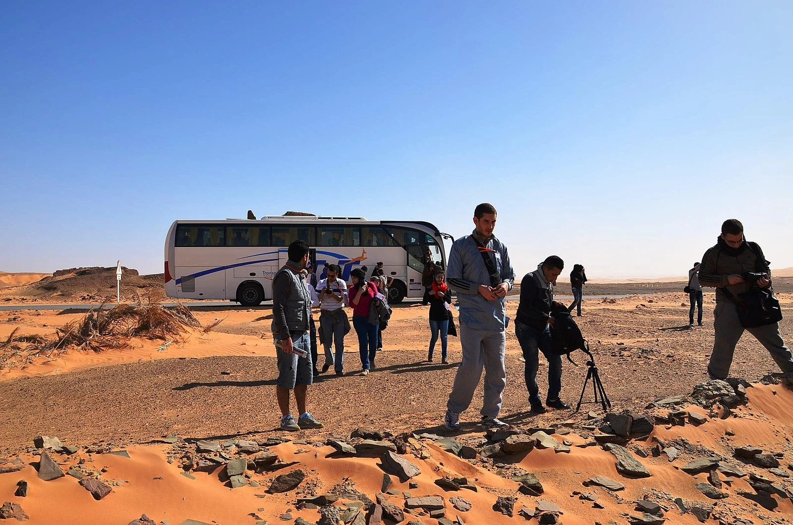 Tourisme saharien : une saison qui s’annonce fructueuse 