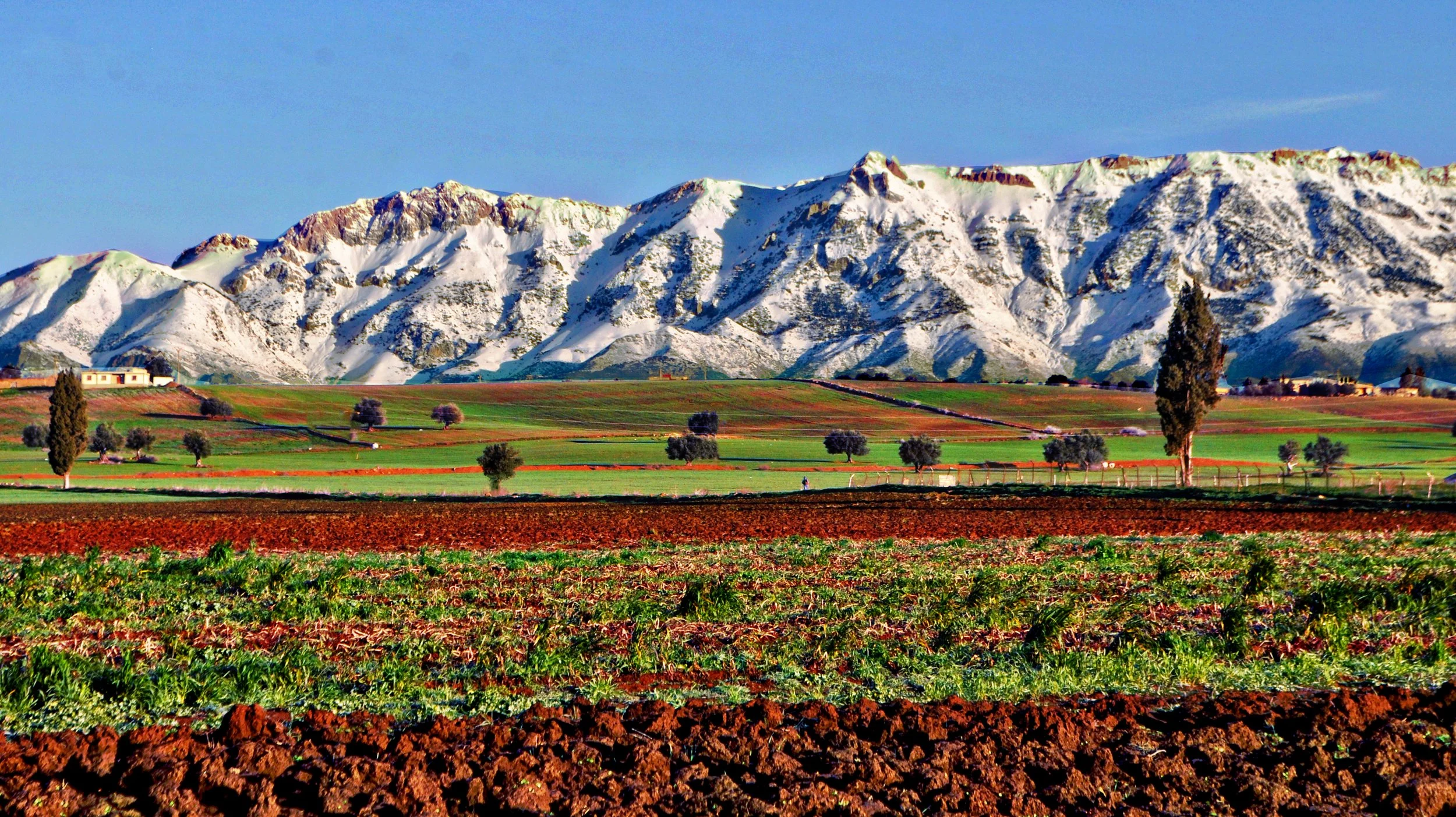 La neige : l’autre potentiel touristique insolite de l’Algérie