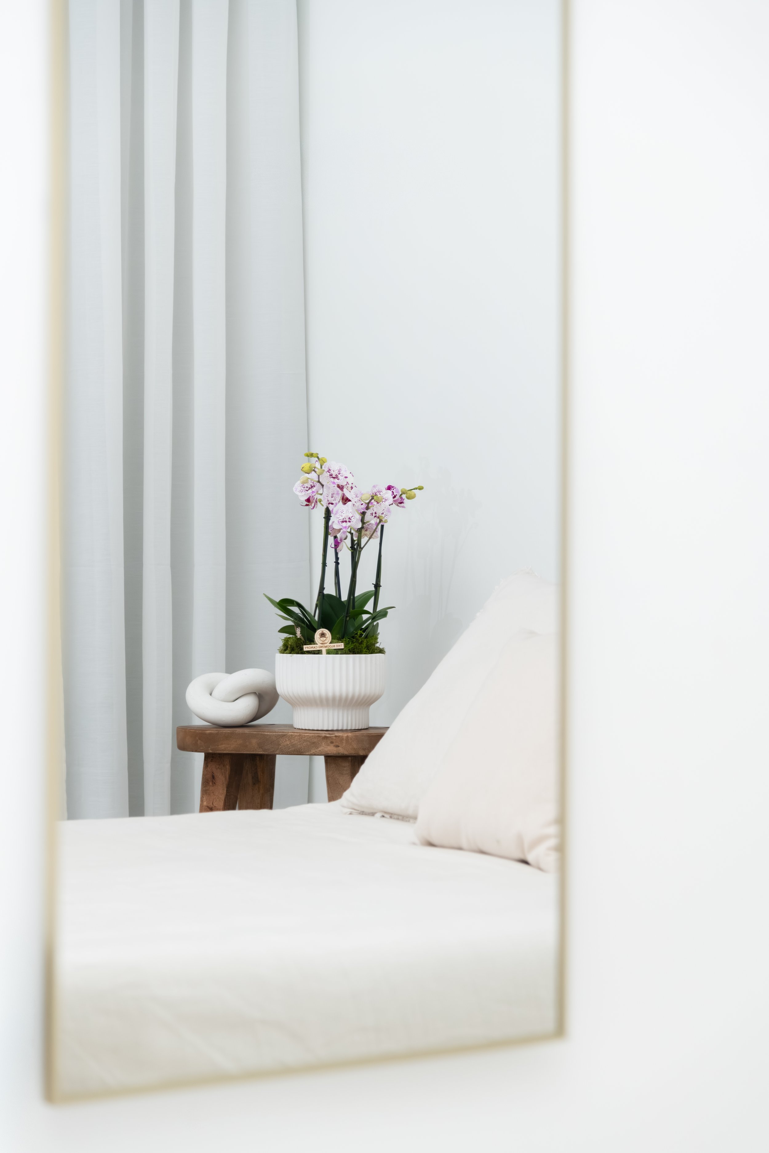 A bedroom with a mirror reflecting a bedside table holding a potted orchid plant and a white decorative knot sculpture.
