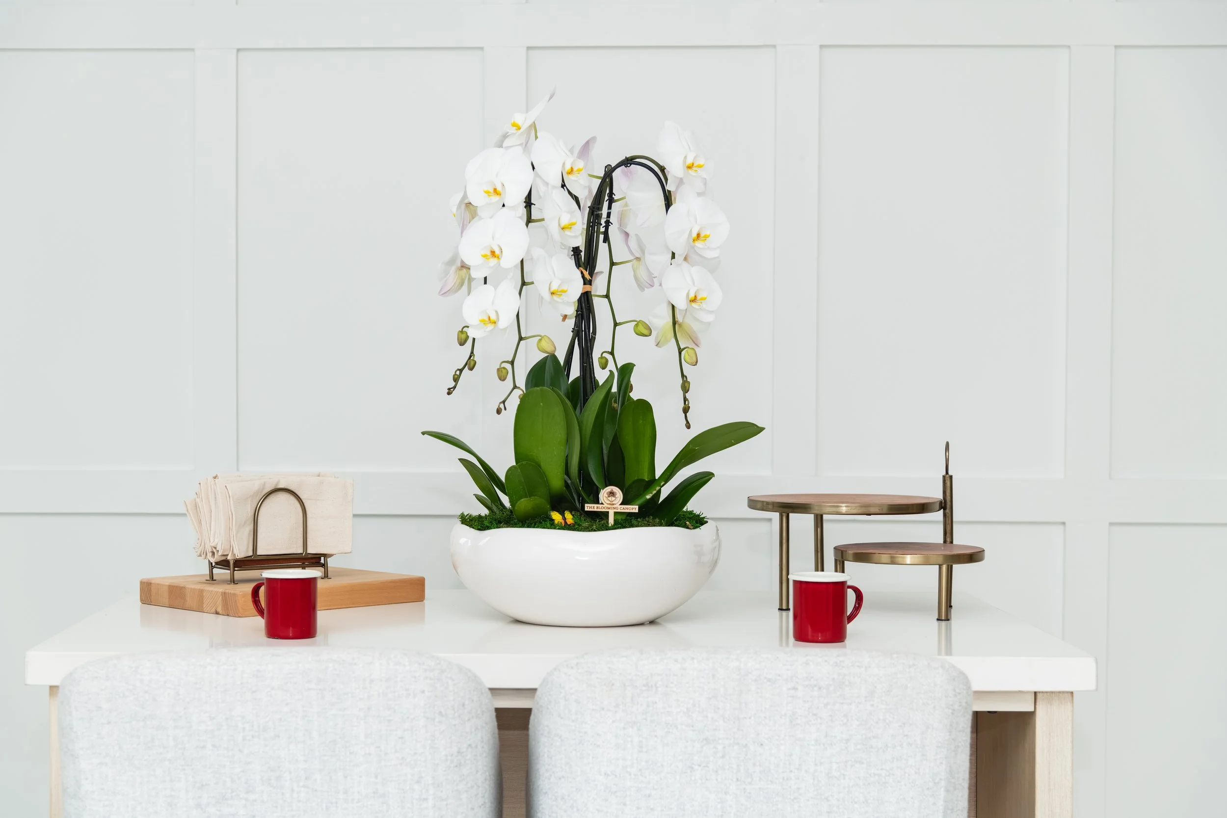 White dining table with two beige chairs, decorated with a large white orchid plant in a white pot, two red mugs, and decorative items.