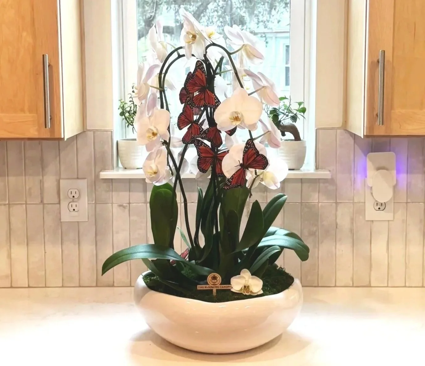 A potted orchid plant with white flowers and butterfly decorations displayed on a kitchen countertop near a window.
