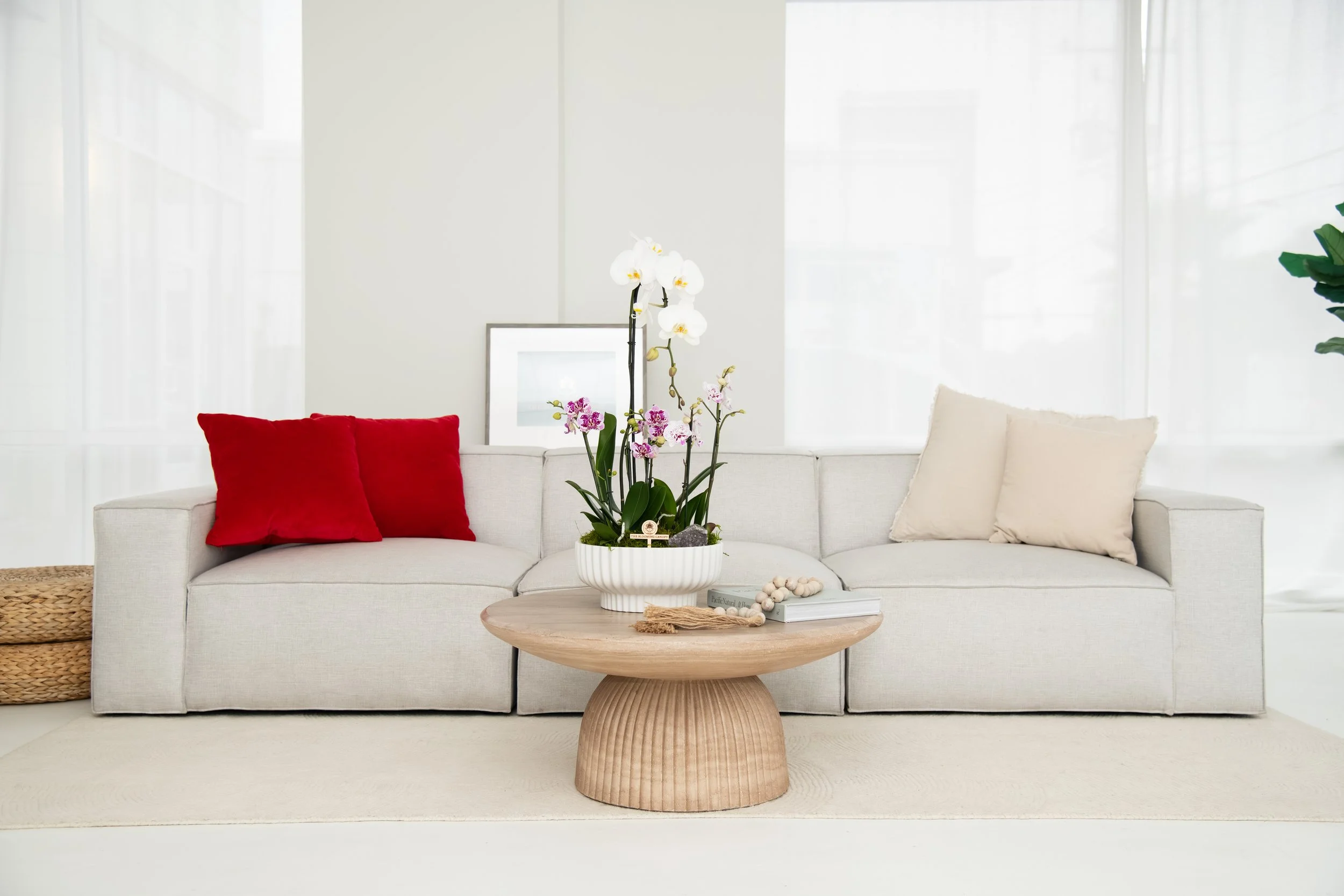 Living room with a white sofa, red and beige pillows, a round wooden coffee table with a potted orchid plant, and white curtains in the background.