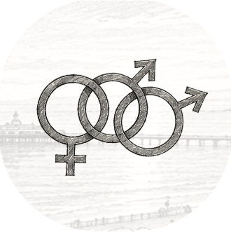Drawing of three interlinked gender symbols: one female, one male, and a combined gender symbol, with a bridge in the background.