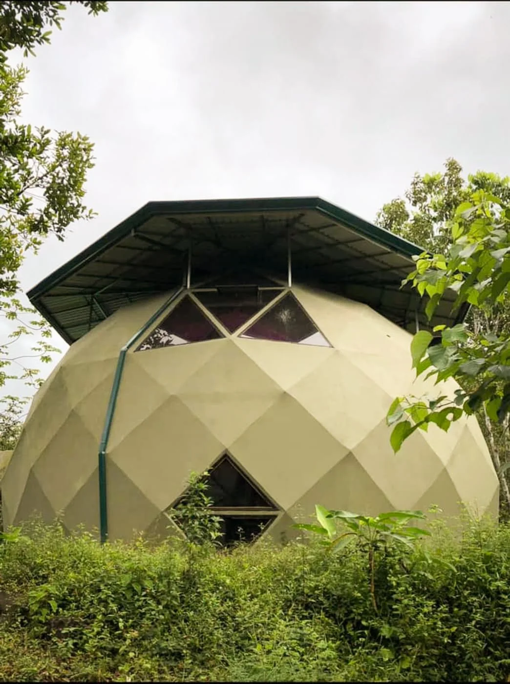 florestral_nouchka 2.jpg