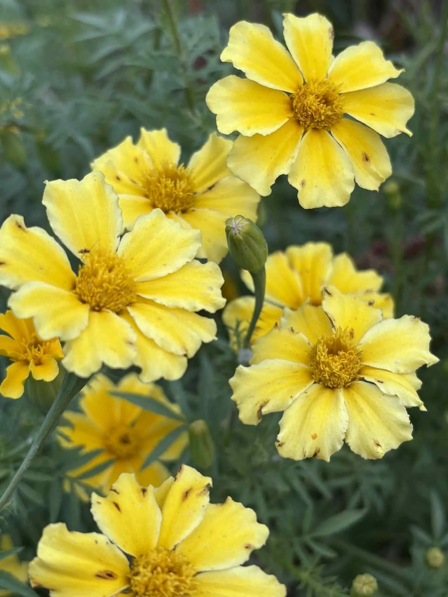 8c141488-88fc-4f8c-83fc-c0d8690b82e2 (1).jpg