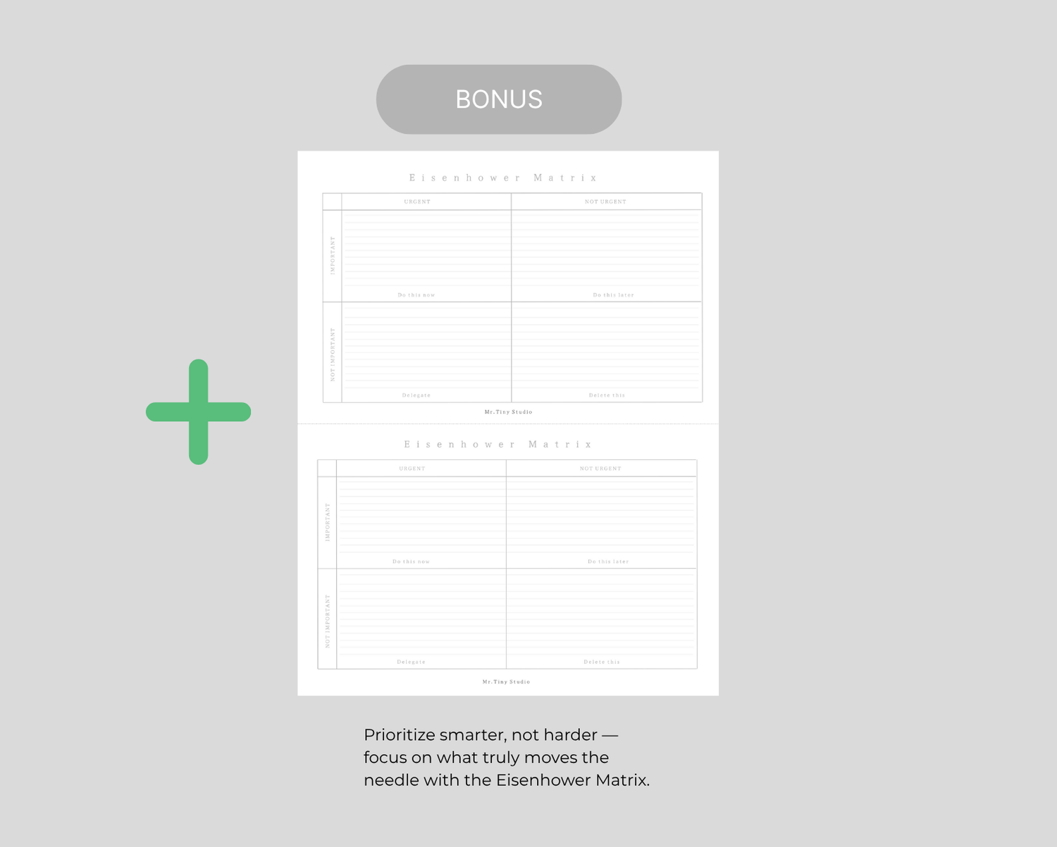 Template — Mr. Tiny Studio