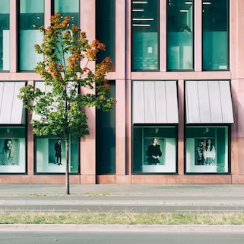 Modern building with large windows displaying mannequins dressed in clothing, and a tree in front of the building.
