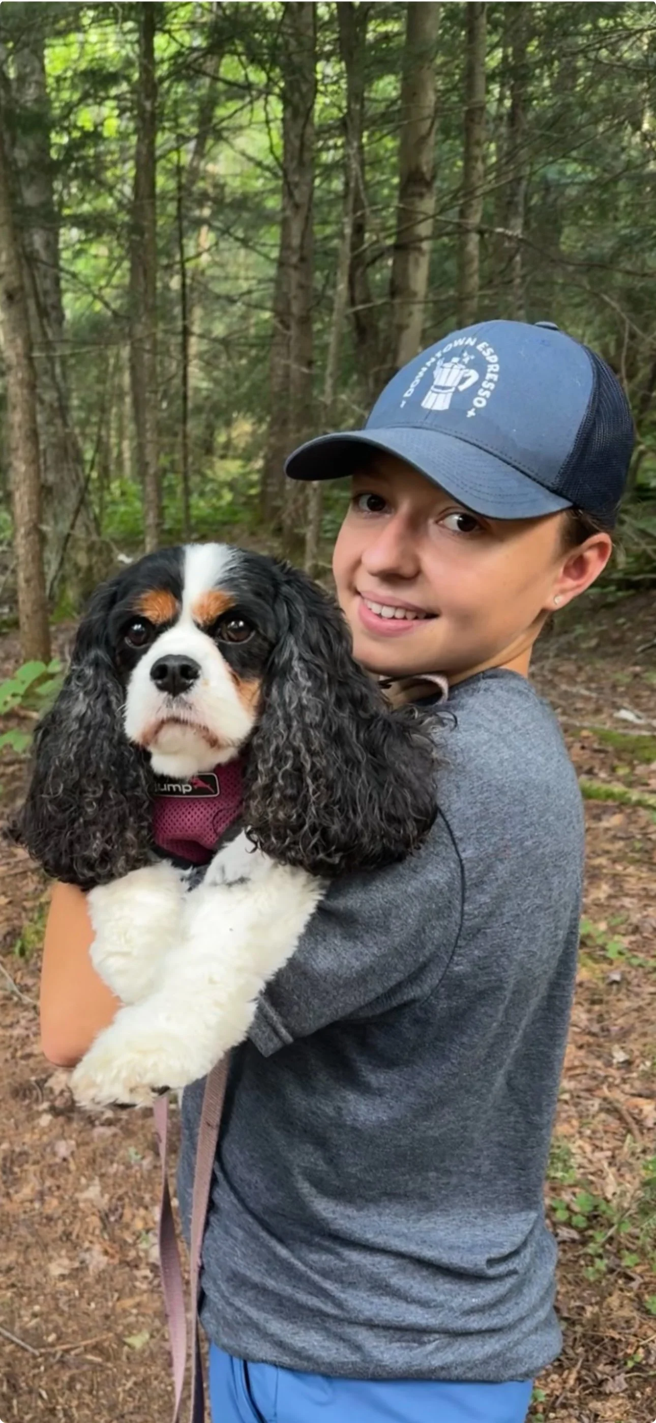 A woman with a gray shirt and a blue cap holding a black, white, and brown Cavalier King Charles Spaniel dog in a forest with green trees.