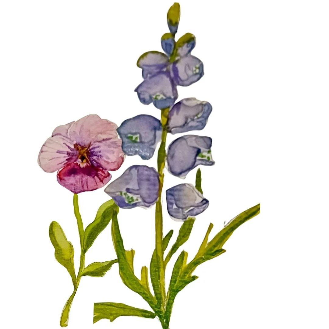 karin mear watercolour flowers.jpg