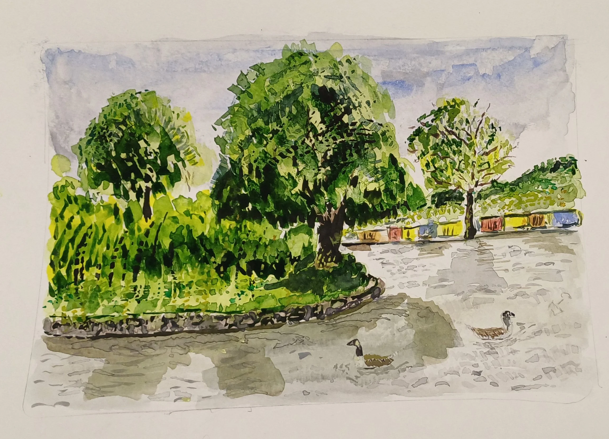 Aberdare Park Pond Alun Thomas.jpg