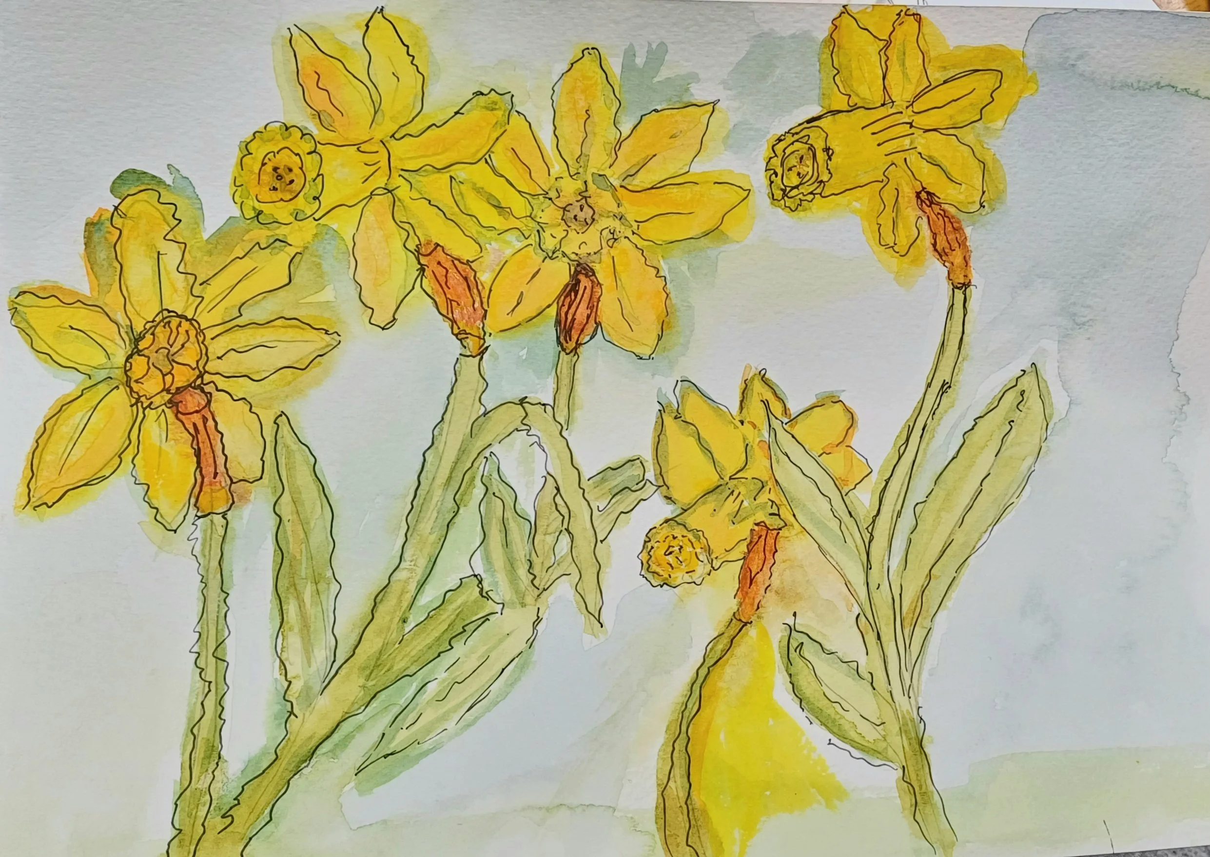Daffodil workshop 3.jpg