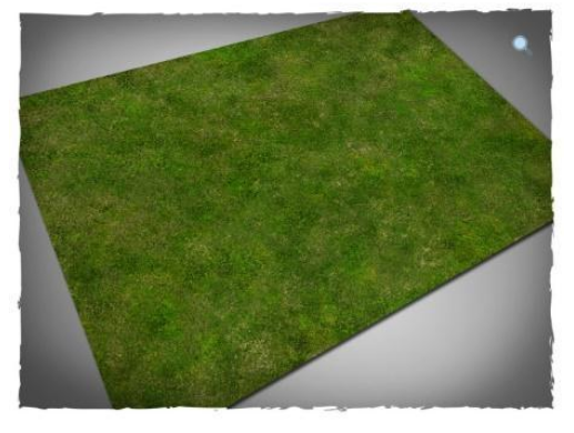 2 x Grass 6'x4' (Mats 6 & 42)