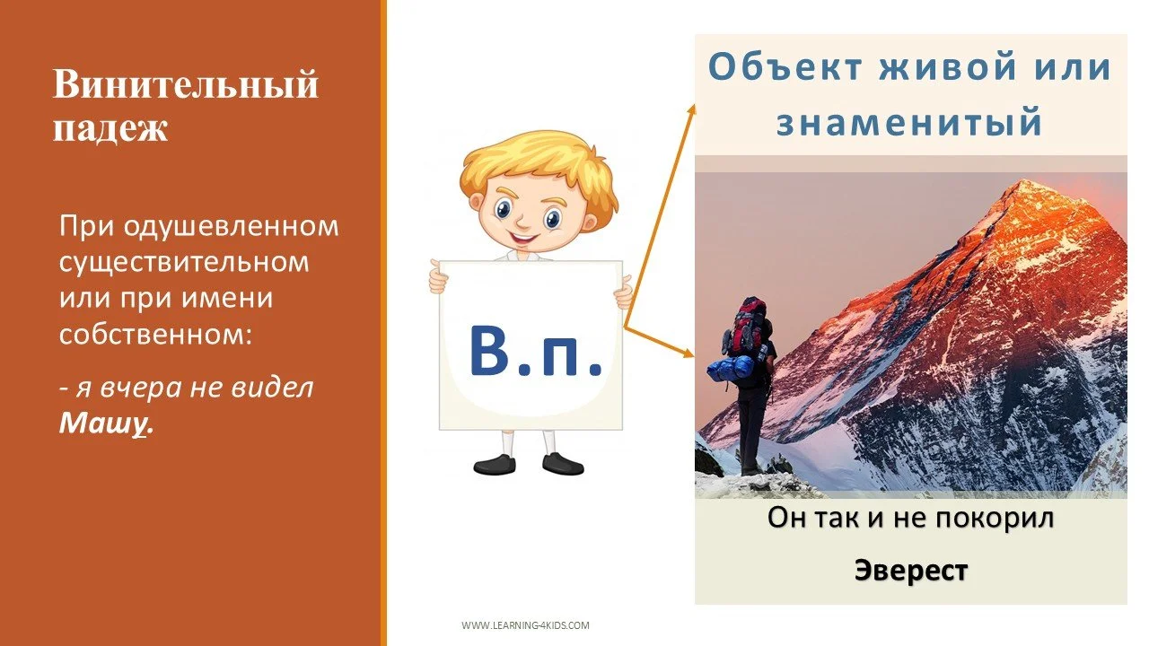 Винительный падеж после отрицания "не" в русском языке: правила и исключения
