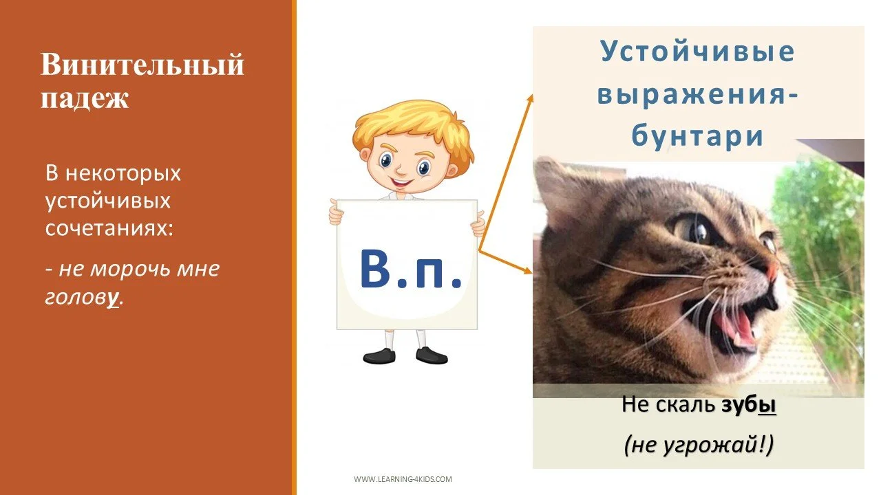Винительный падеж после отрицания "не" в русском языке: правила и исключения