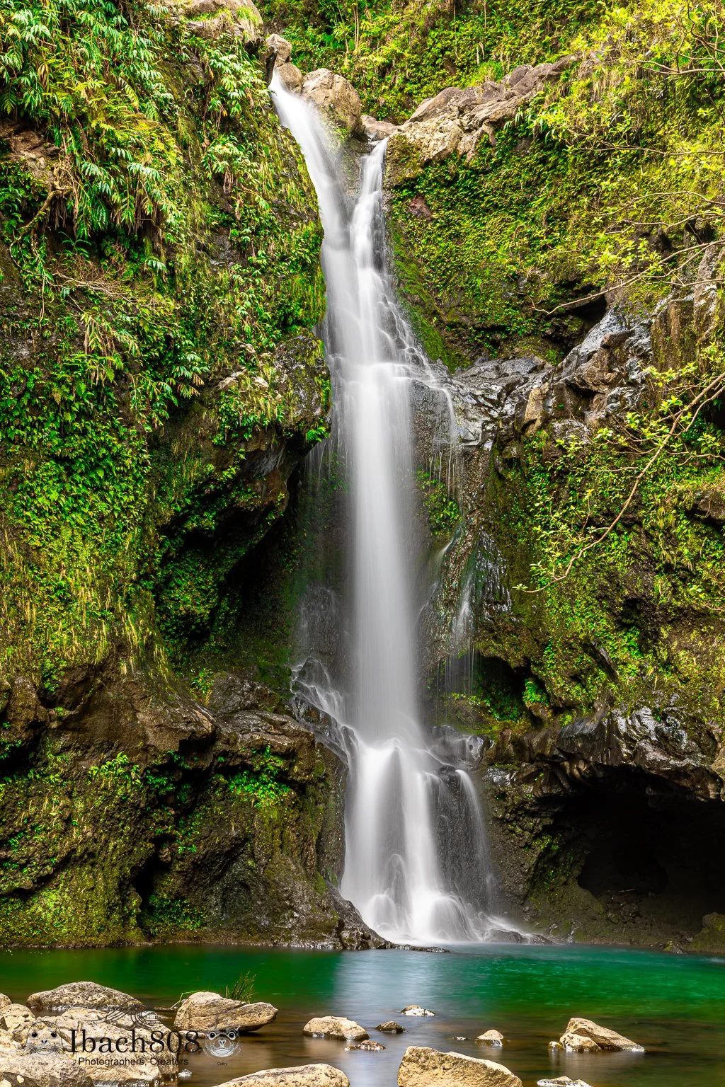 Whispers of Waikamoi (Free Edition): A Road to Hāna Gem
