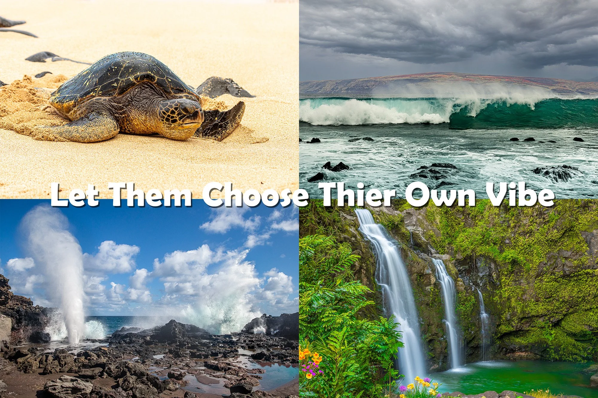 Ibach808 Gift Card Quad.jpg