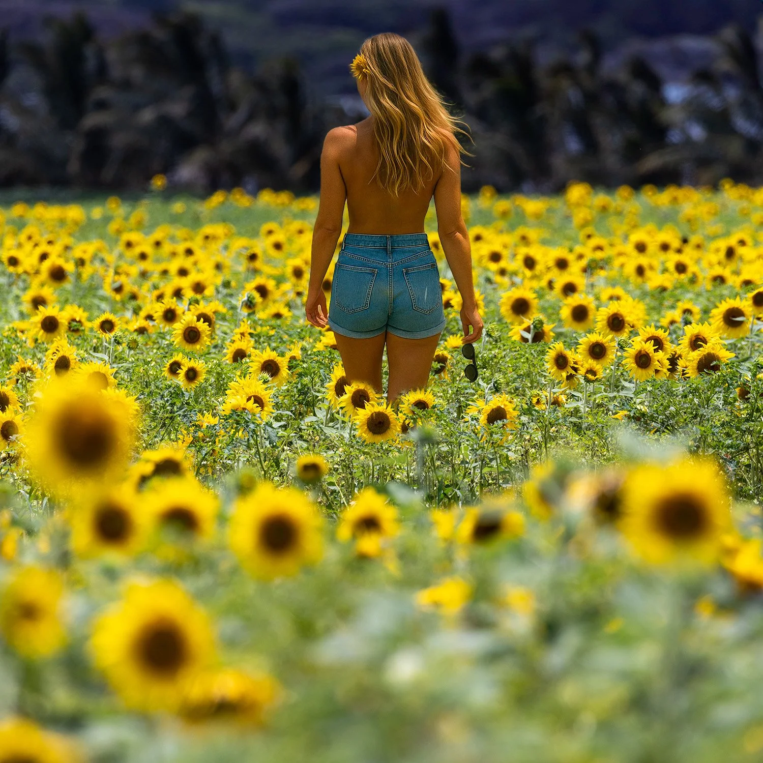 Sunflower walking away topless.jpg
