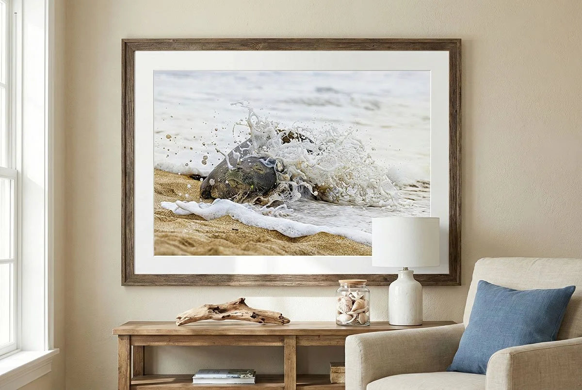 Ocean's Kiss Large Display.jpg