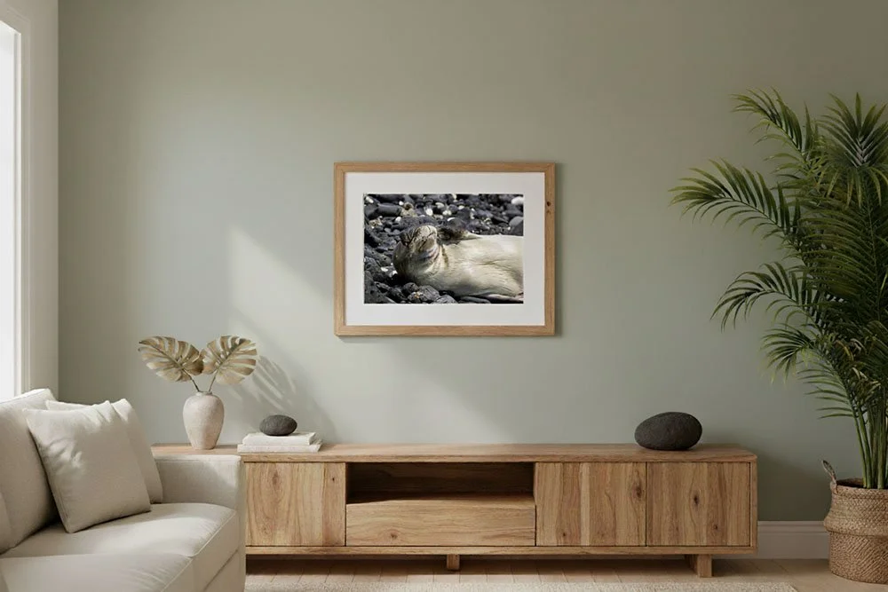 A Moment's Peace by Ibach808.jpg