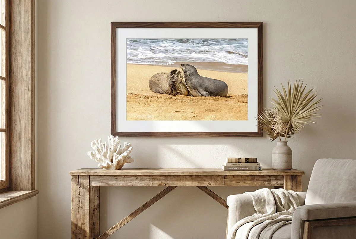 A Seal's Bond display.jpg