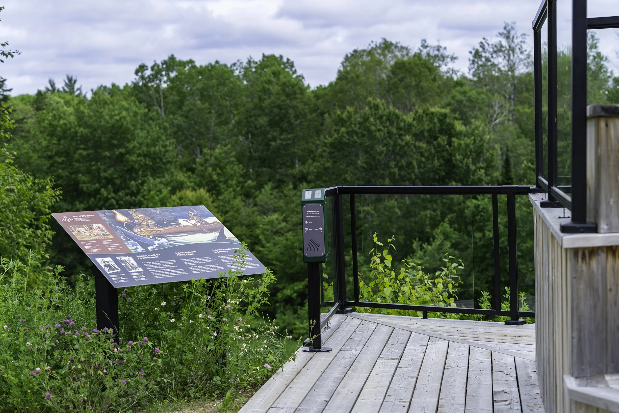 Campground 036 copy.jpg