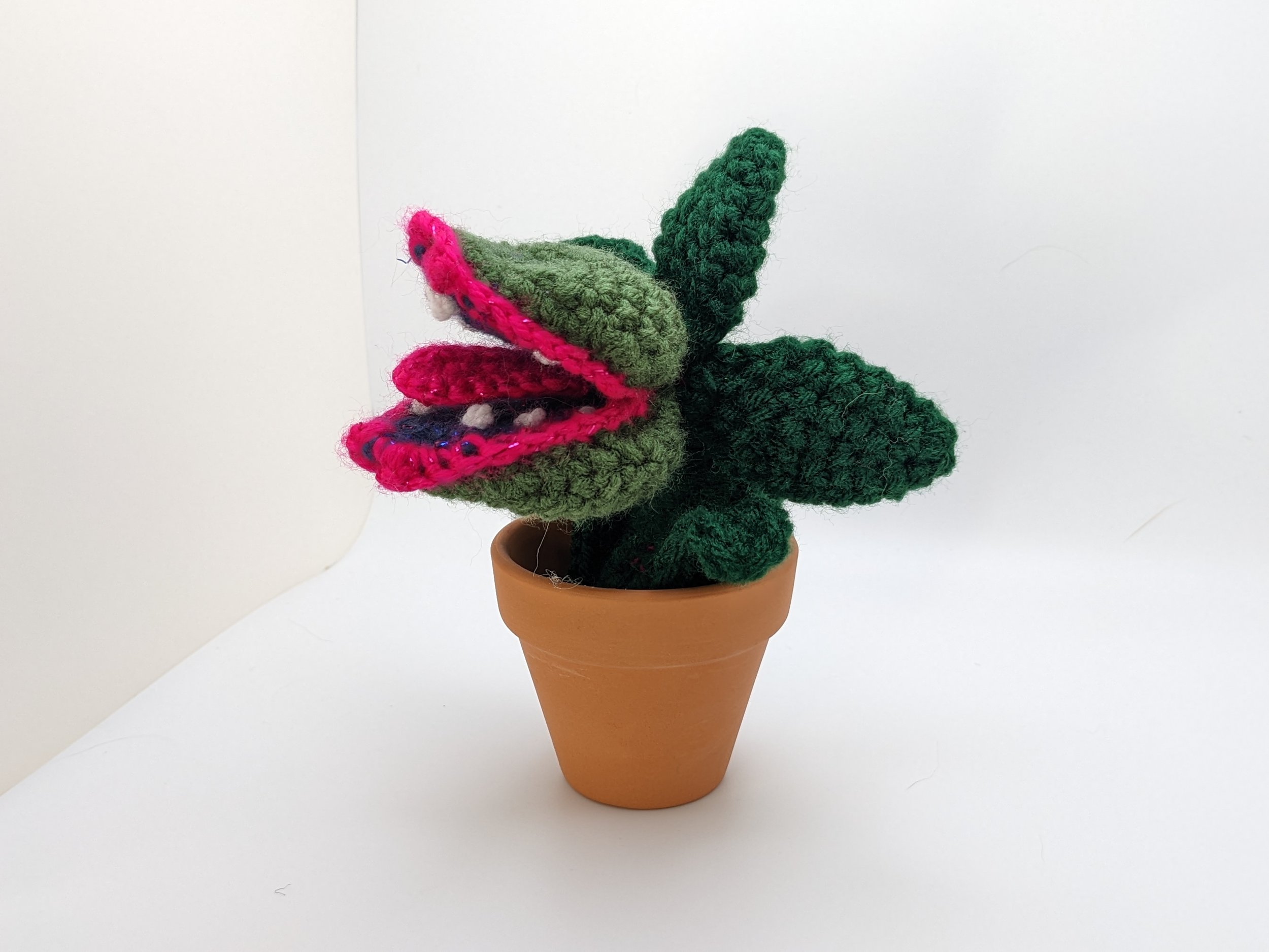 A Very Hungry Little Plant