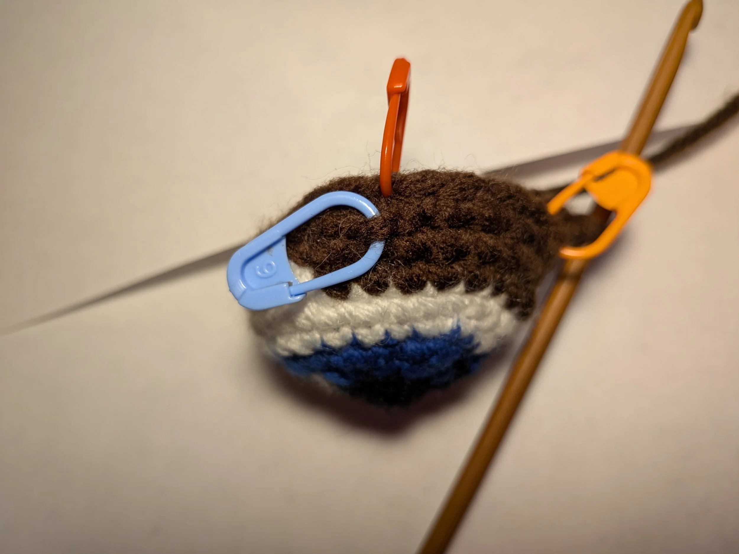 eye showing the placement of all three sm