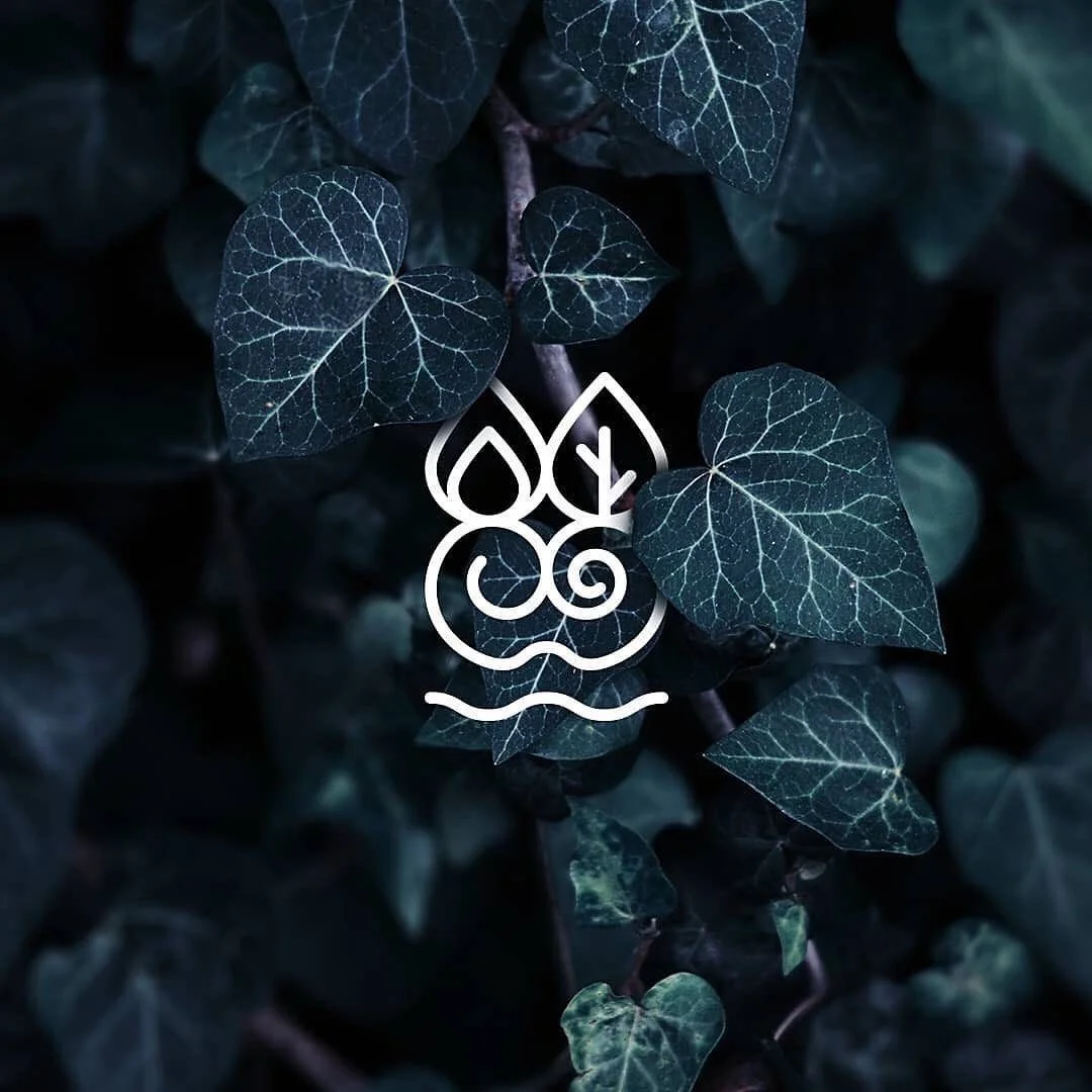 Dark green ivy leaves with white veining and a white line drawing of three leaves, water waves, and a small branch overlayed on top.