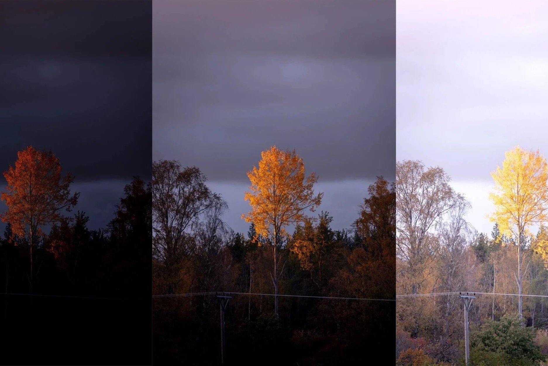 Two Common Mistakes Beginner Photographers Make