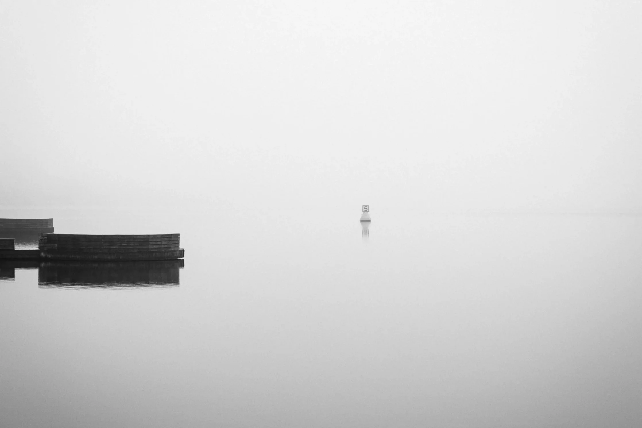 How a Daily Photo Habit is Changing the Way I See