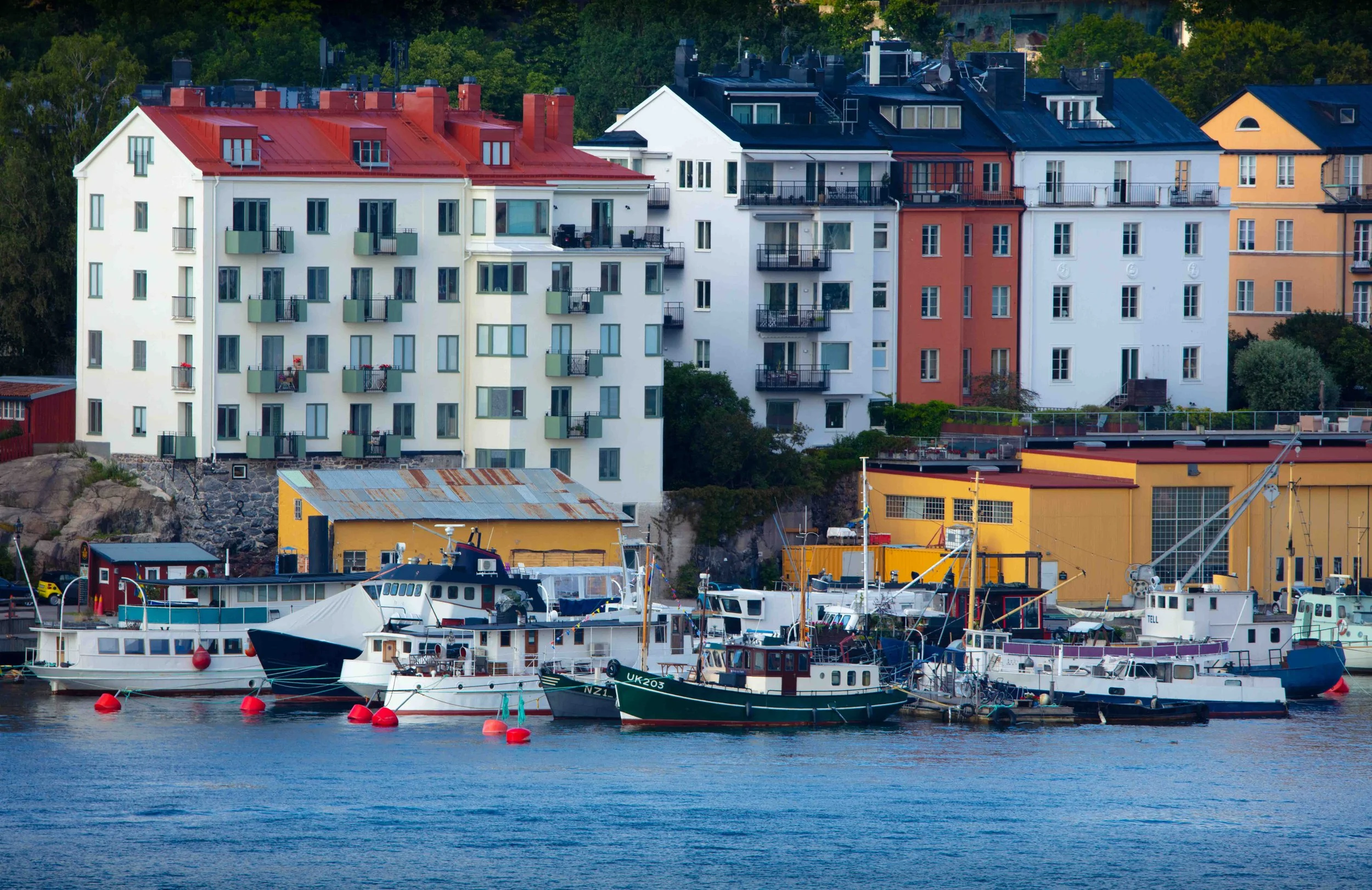 Vibrant life by the water’s edge.